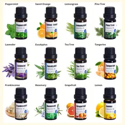 ERBOLO 10ml Botanical Essential Oil for Wellness and Relaxation