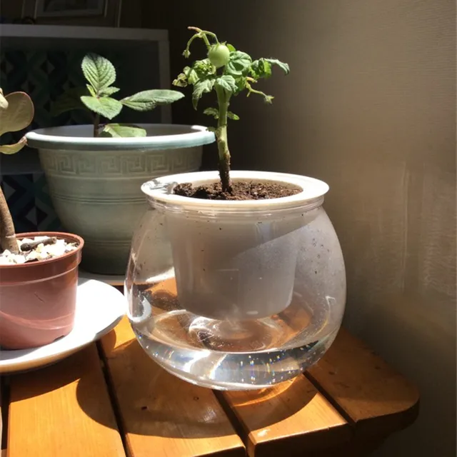 Ön Öntözés Ültetvényes Edények Mini Virágpot Beltéri Zamatos Növényi Edény Hal Tartály Otthoni Asztali Virág Bonsai Dekoráció - Image 2
