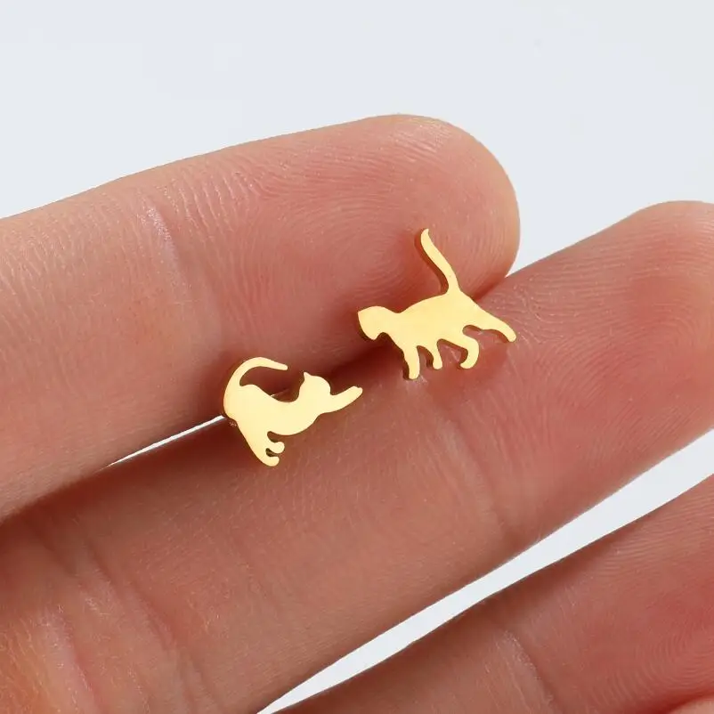 Earrings in Steel