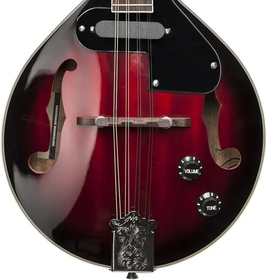Acoustic-Electric Bluegrass Mandolin with Nato Top-Redburst