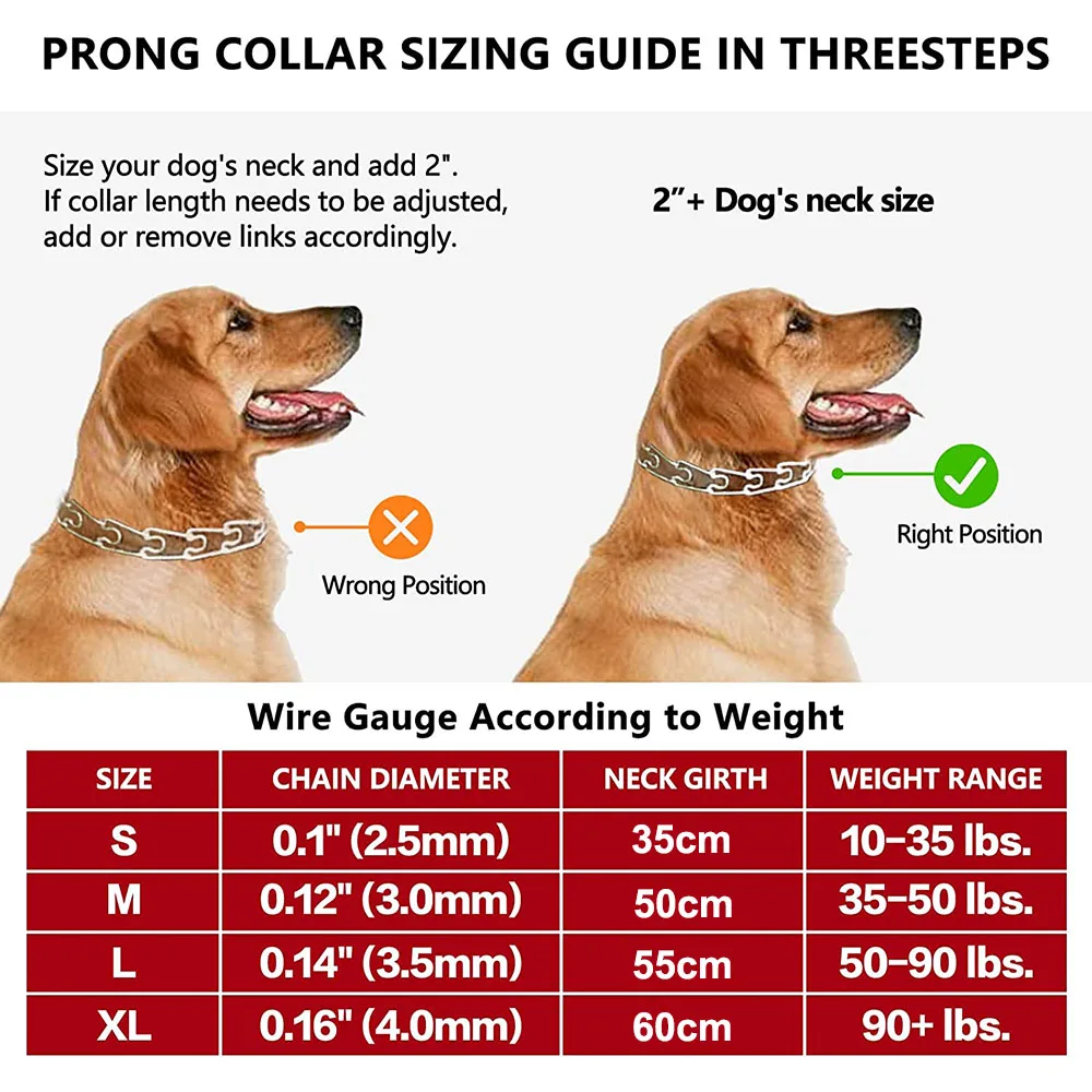Lab Puppy Average Neck Size Of Golden Retriever Puppy Dog Collars