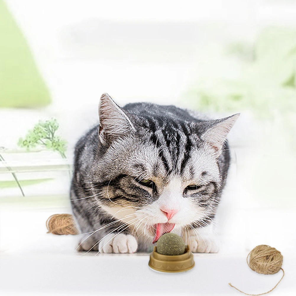 Rotatable Edible Catnip Ball Stick 5