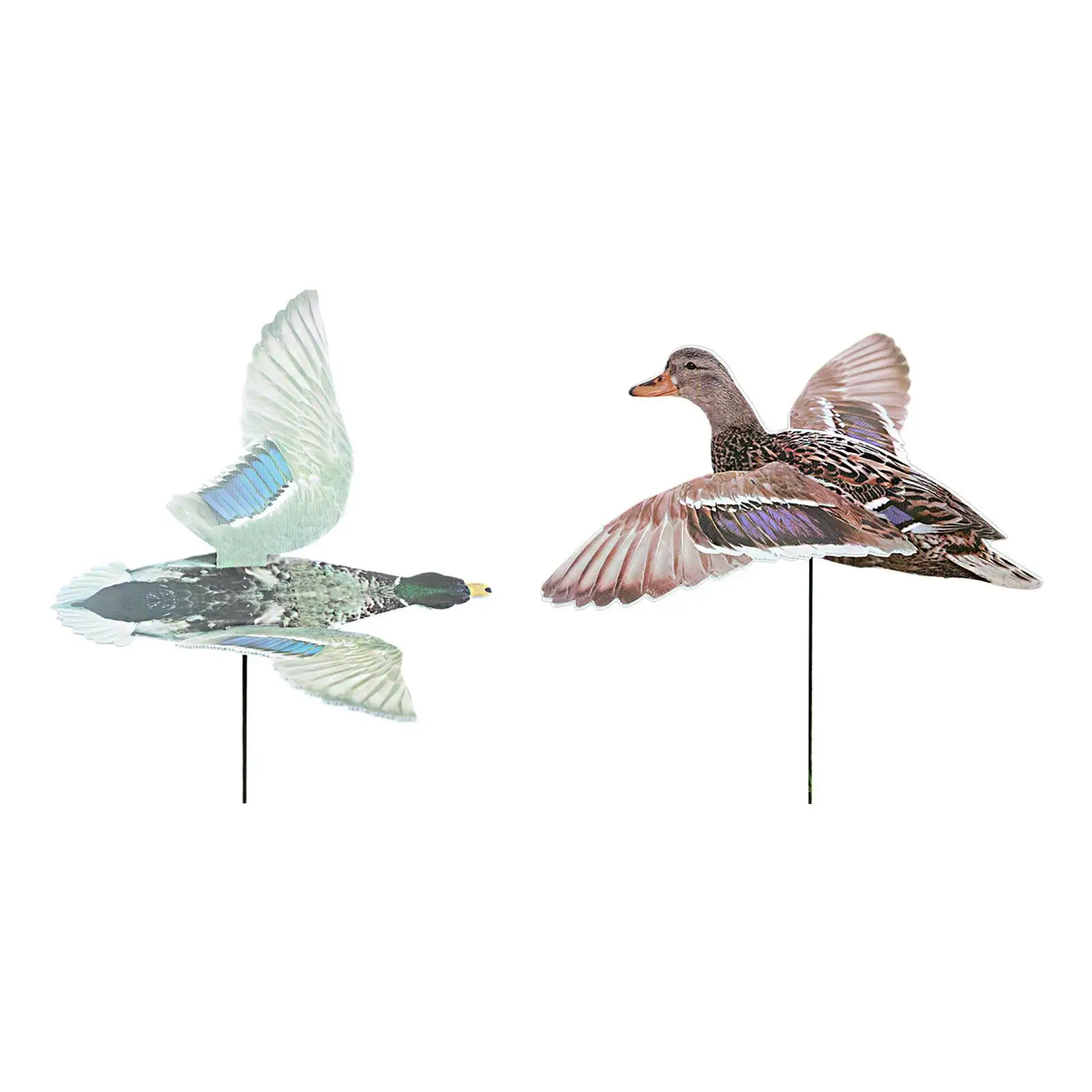 Duck Decoy Multifunctional Realistic Lightweight Decoration Yard Portable Spread Winged Easily Install Novelty Simulation Decoy Duck Decoy Multifunctional Realistic Lightweight Decoration Yard Portable Spread Winged Easily Install Novelty Simulation Decoy