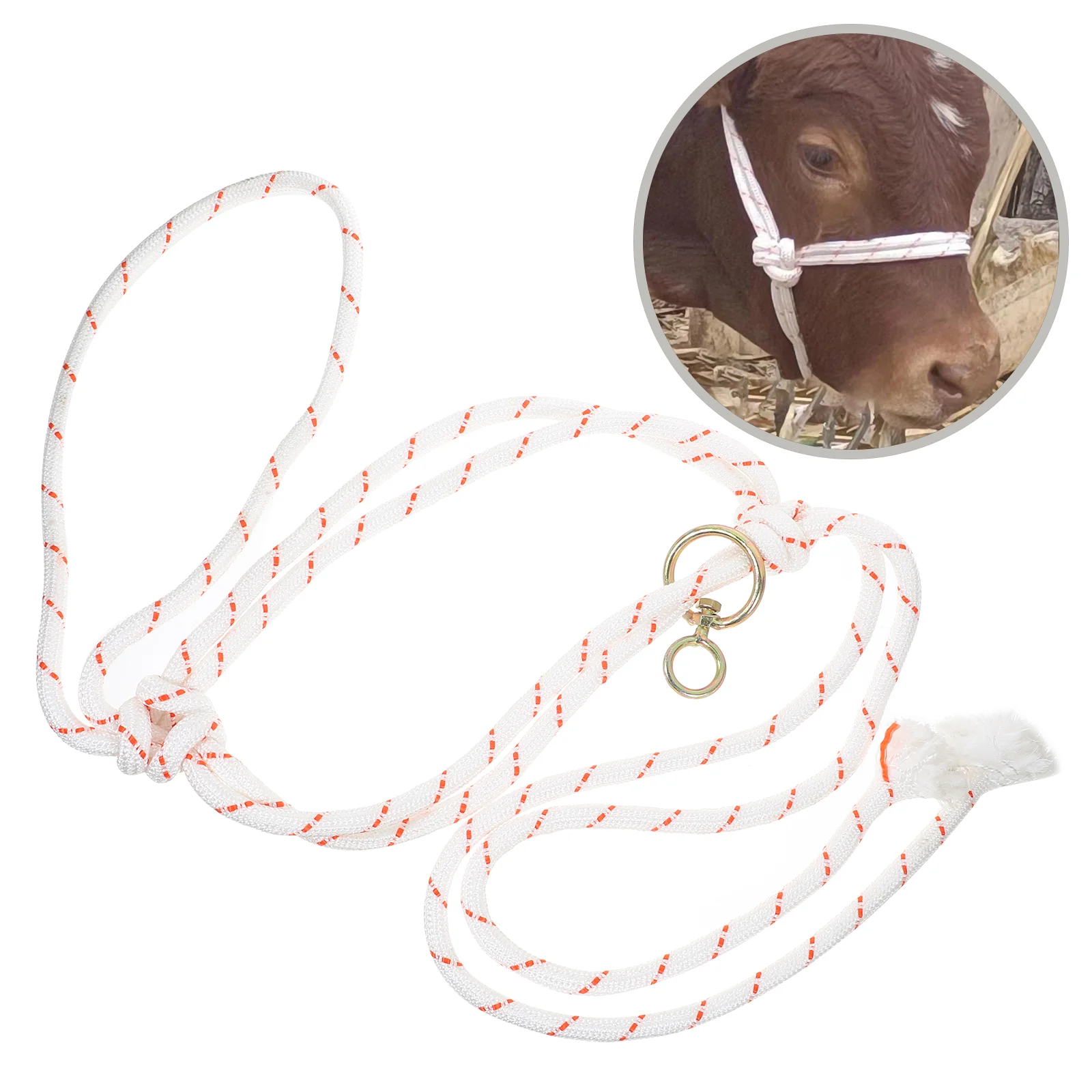 

Halter for Cattle Rope Halter Portable Cattle Head Bridle Lightweight Cattle Halter Accessory