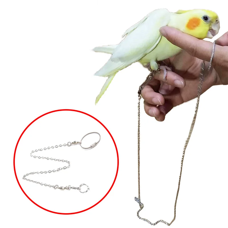 Small Pet Bird Antiescape Leg Birds Ring Parrot Training Leash