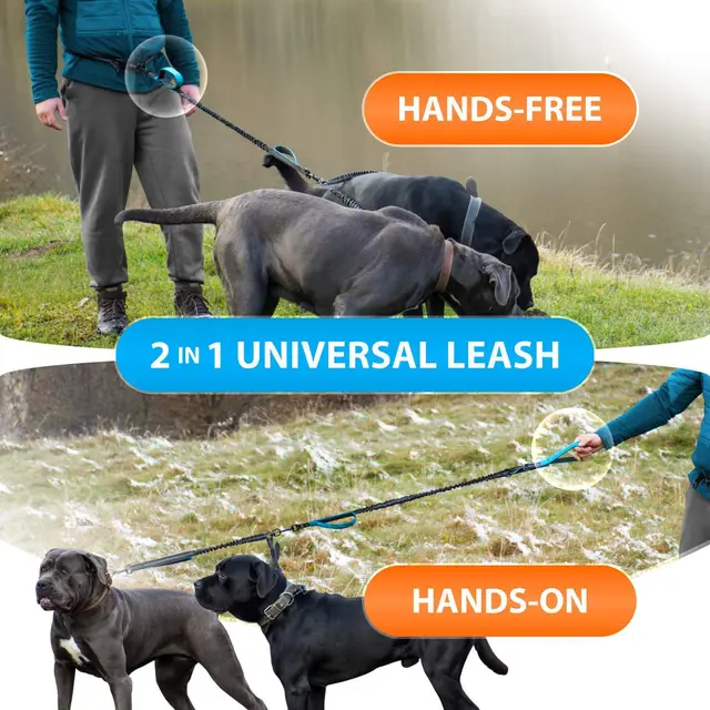 Two dog leashes with thickened handles, reflective strips for outdoor sports, suitable for medium to large dogs, dual-head leash 6