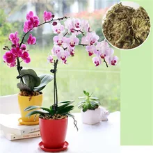 

Garden Supplies 12L Sphagnum Moss Moss Sphagnum Nutrition Organic Fertilizer For Orchid Phalaenopsis Musgo Sphagnum Flower