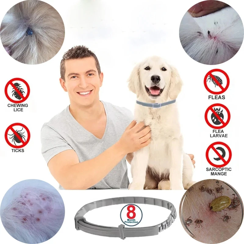 

Регулируемый поводок для собак и кошек