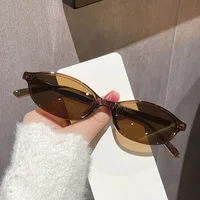 Lunettes de soleil marron léopard pour femmes, monture petite, style rétro ovale, de marque tendance 6