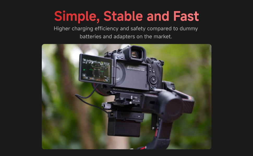 Accsoon TOPRIG 60W BP-A Battery Mouting Plate for Canon C400 C80 R5 R5II R6 Came