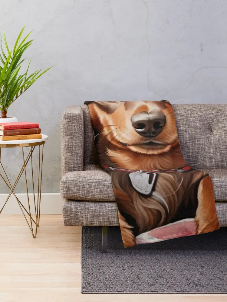 �ڽ���Ʈ ���ο� ���, ������ �ҷ��� ���