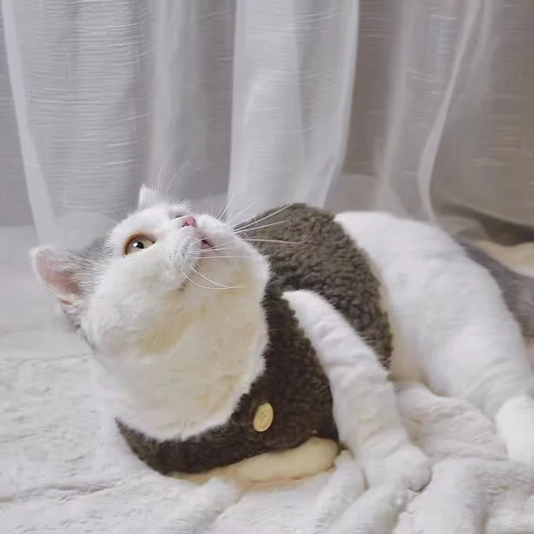 고양이 옷, 따뜻한 양털 조끼, 가을 겨울 테디 포메라니안 애완동물 겨울 옷, 귀여운 한국 옷
