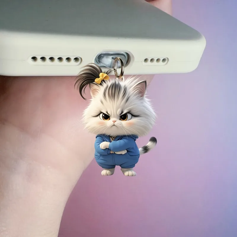 2D 평면 폭발적인 화난 고양이 아크릴 폰 먼지 방지 스토퍼 (아이폰 및 C타입 충전 포트 보호 장식 액세서리)