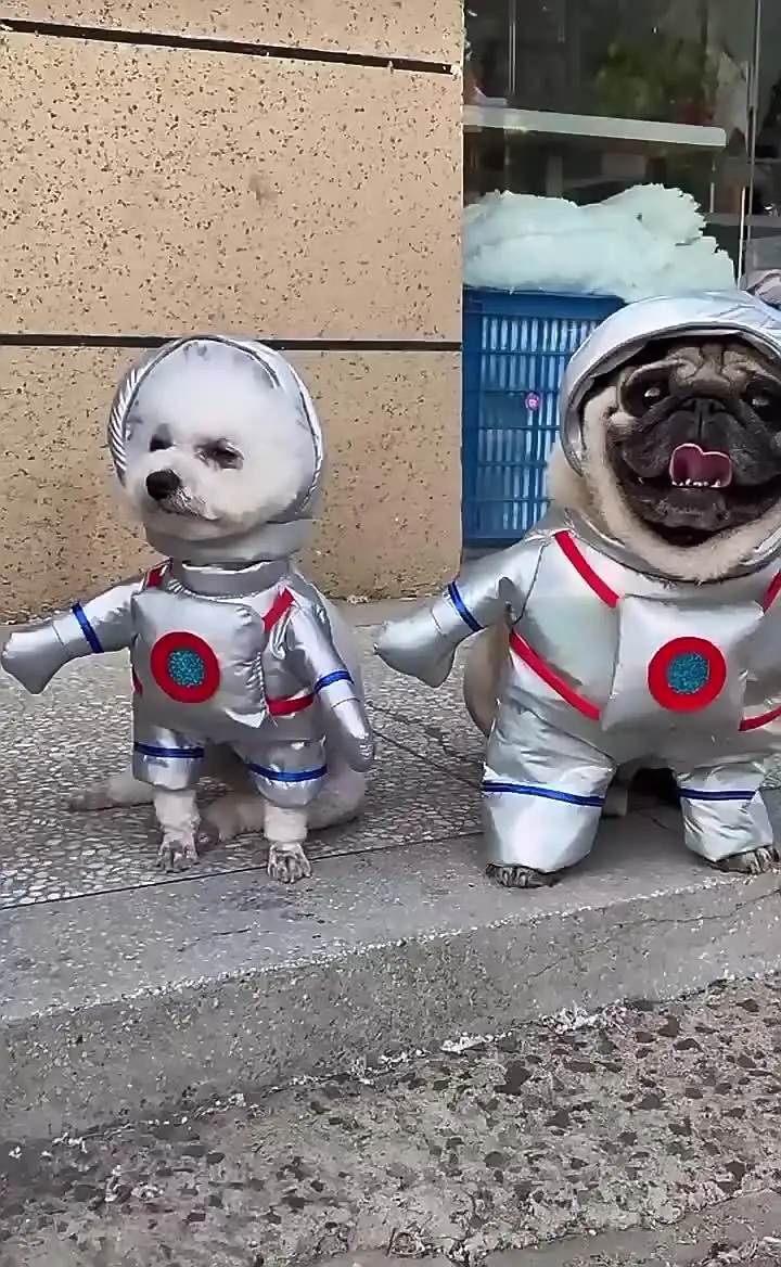 Dog Spaceship Costume Pug Dog Astronaut Pet Funny Space T-Shirt For Cat Dad, image size:720x1168