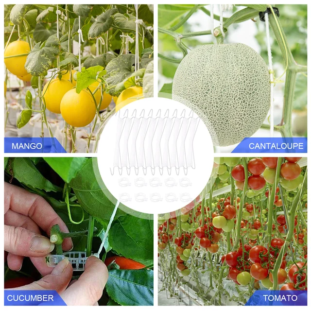 Paradicsom Tartóhorgok Set Növényi Hegymászó J Horg 33 Lábnyi Zsineggel Rácsos Szőlő Klipek Kerti Támogatás Megakadályozza A Leesést - Image 5