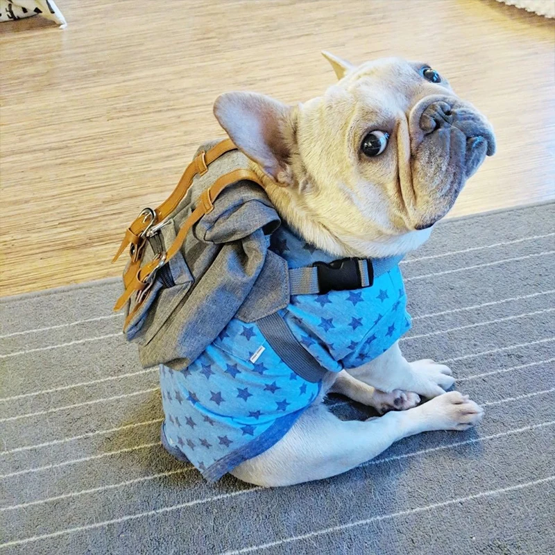Backpack Harness Designer Dog Backpack Dog Backpack Frog Design