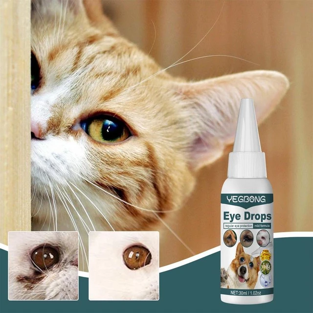 Eye Drops For Cats Nearby informacionpublica.svet.gob.gt