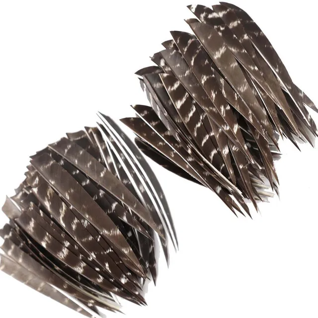Plume de flèche Plastique Flex-Fletch FFP360 – Donut Archery