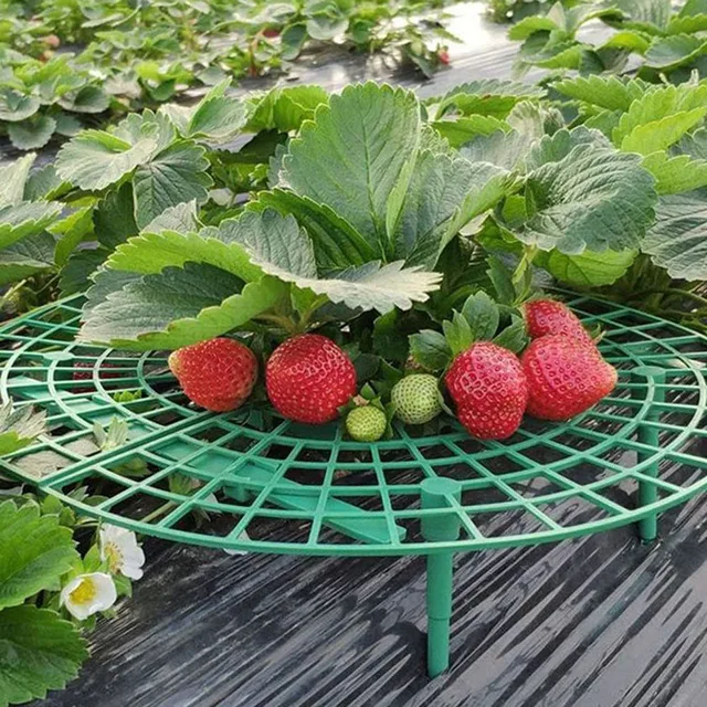 Strawberry Stand Frame Holder Balcony Planting Rack Fruit Support Plant Flower Climbing Vine Pillar Gardening Stand 6