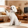 Interactive Chew Toy for Dogs Puppy Teeth Cleaning Molar Bite Resistant Food Dispensing Training Toy for Medium Dogs 5