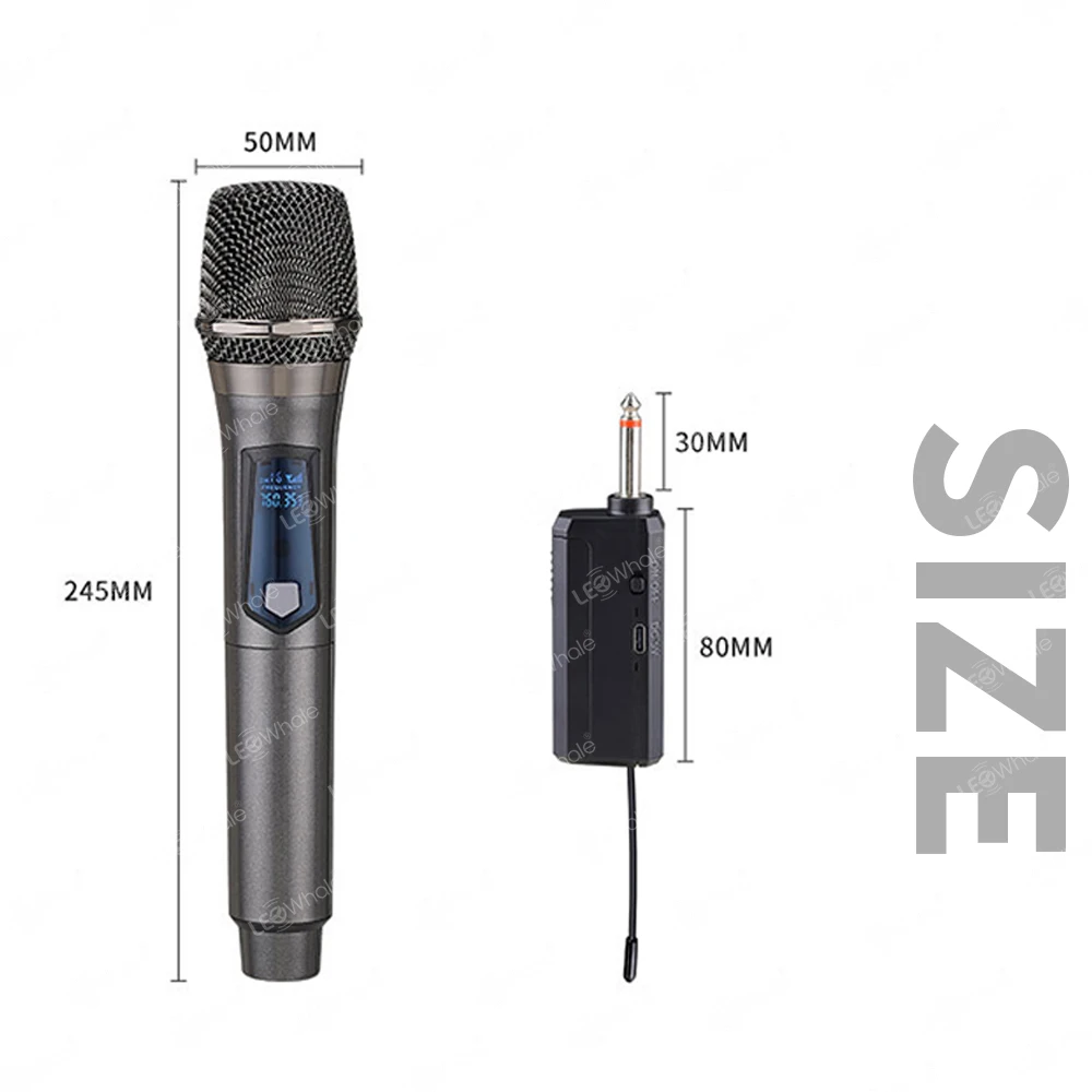 Double Microphone Pro sans fil Rechargeable avec Batterie au Lithium-6