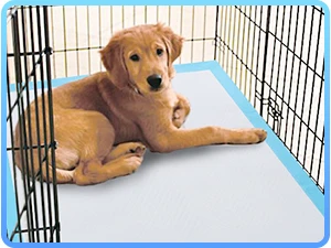 dog pee pad