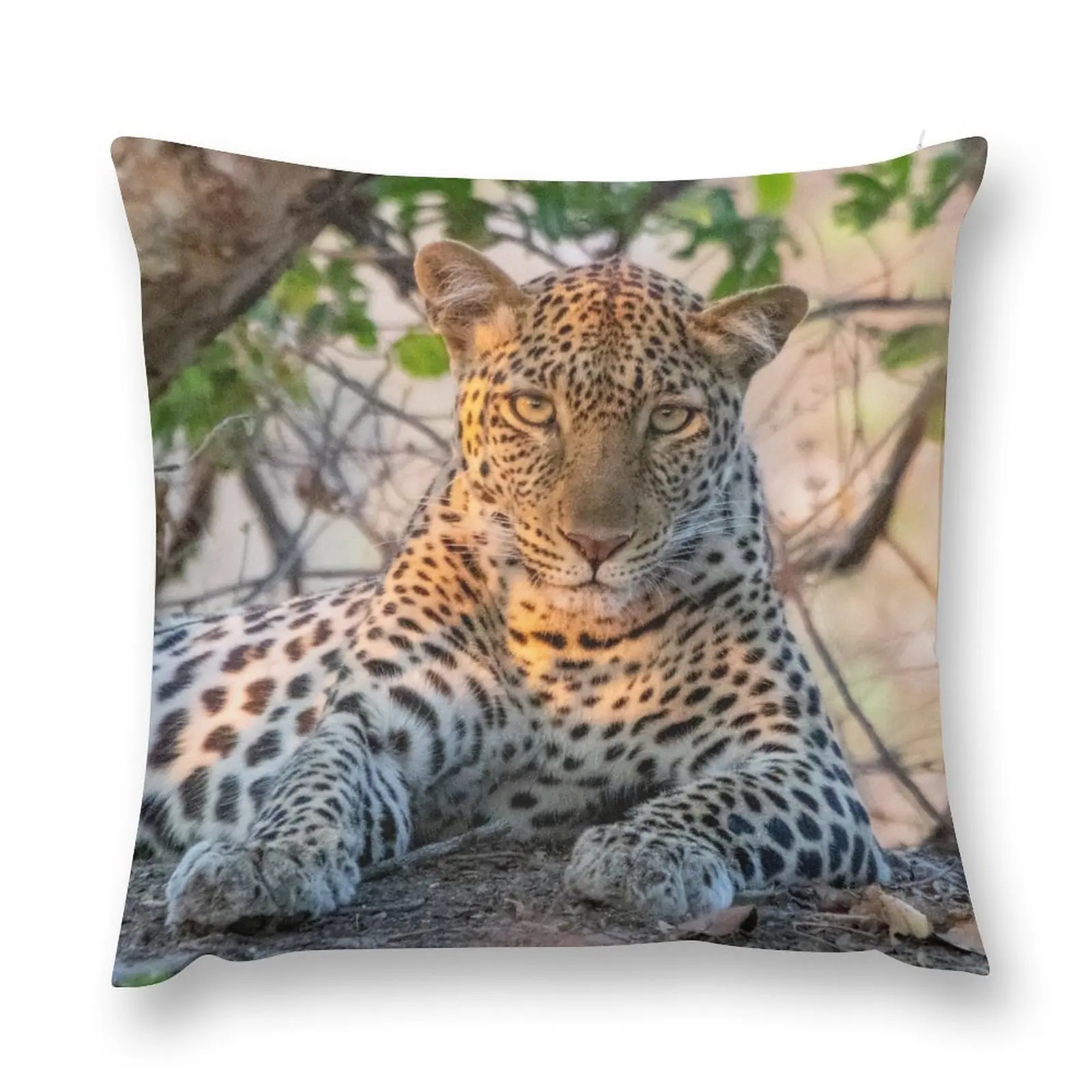

Female leopard cat resting under a tree Throw Pillow Decorative Cushions Cushions