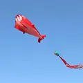 Red Dolphin