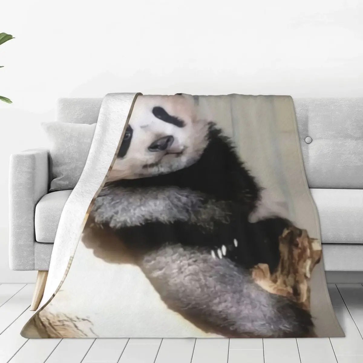 

Japanese Xiangxiang Panda Blanket Super Warm All-Season Comfort Throw Blankets for Bedroom Sofa