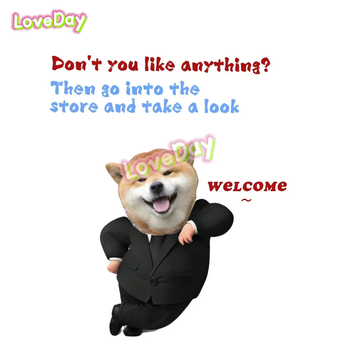 dsc-products
