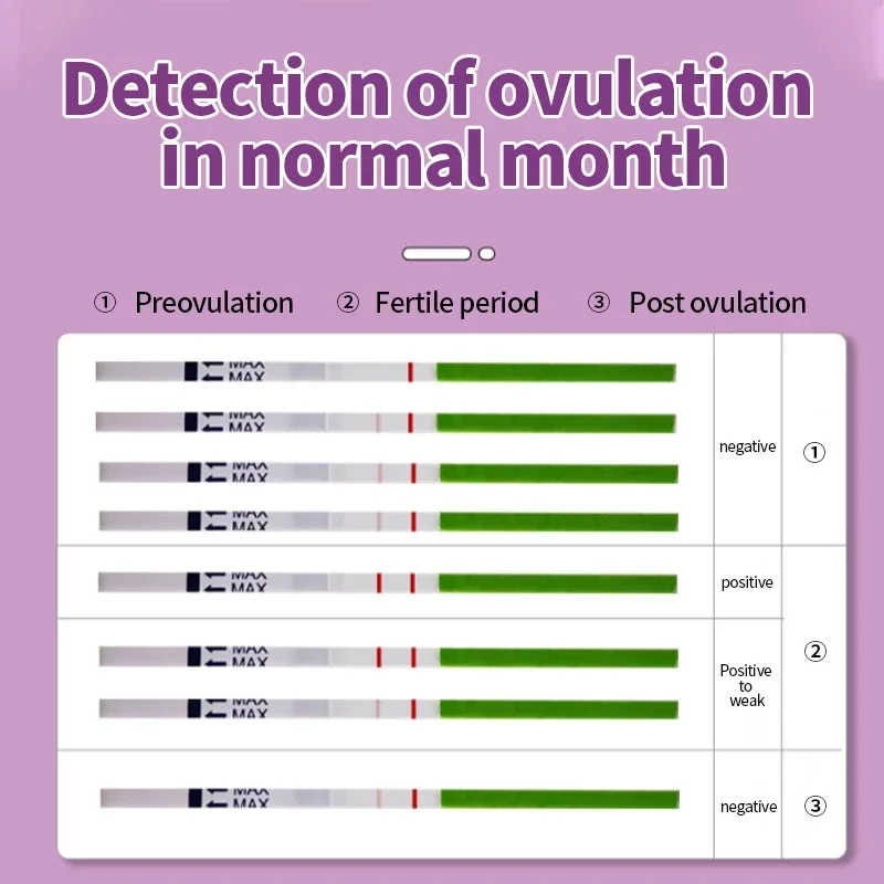 LH Ovulation Test Strips for Women Luteinizing Hormone Tests Kit Over 99% Accuracy Female Urine Measuring Cup 20pcs