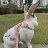 Newest Cute Rabbit Harness and Leash Set Bunny Pet Accessories Vest Harnesses Rabbit Leashes for Outdoor Walking Pets Supplies 4