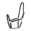 Fremont Soft Leather Horse Halter for Everyday Use Genuine Leather Black Fully Adjustable with Brass Hardware Contrast Stitchin