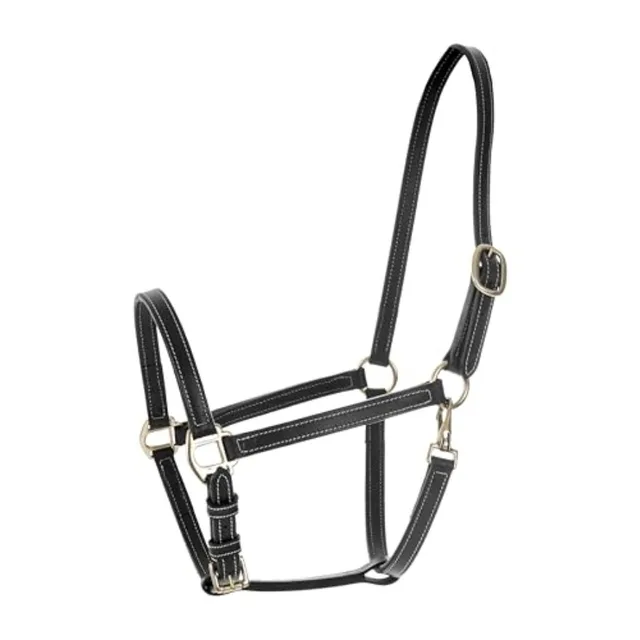 Fremont Soft Leather Horse Halter for Everyday Use Genuine Leather Black Fully Adjustable with Brass Hardware Contrast Stitchin