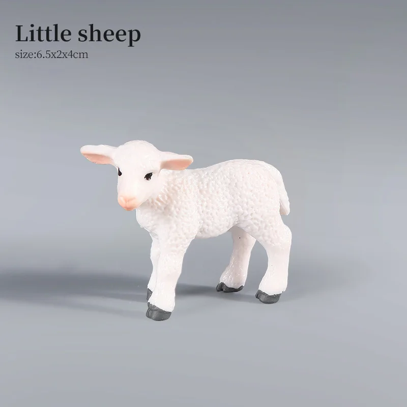 Animal-3