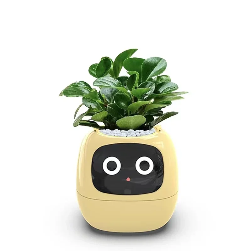 Nový chytrá a roztomilá zvířátko zvířátko hrnec břečťan stůl káča zelený rostlin ať jejích rostlin expres emoce