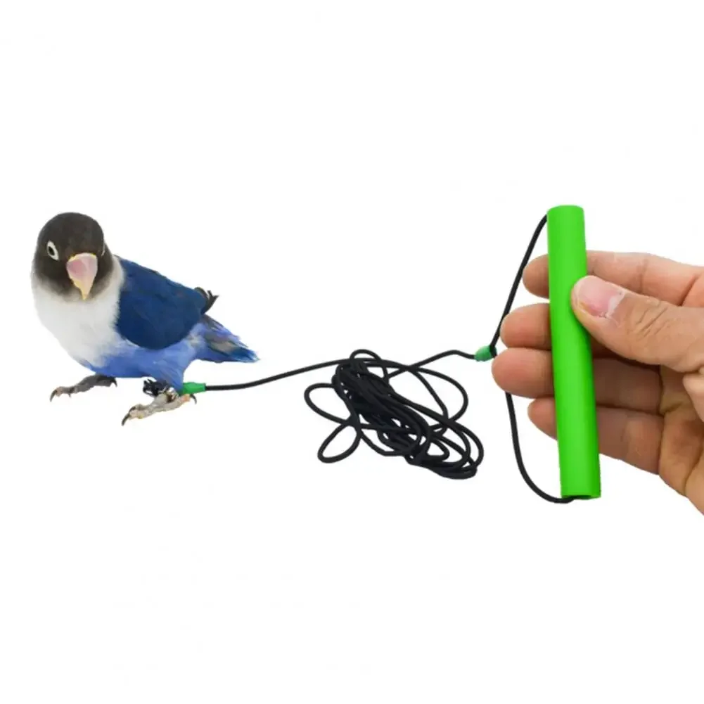 2-6M Anti-bite Flying Training Rope Parrot Bird Outdoor Flying Traveling Elastic Walking Rope Portable Pet Bird Harness Strap dog harness pet harness bird training rope
