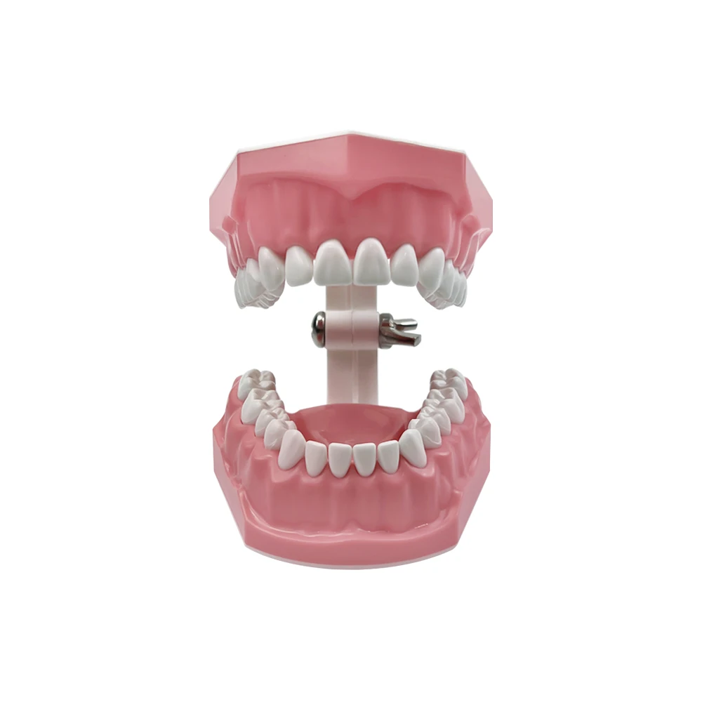 Dental Care Educational Tool for Brushing and Flossing Practice