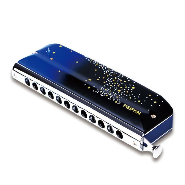 12 Hole Chromatic Scale Harmonica Adult Beginners Practicing Stage  Performance Professional Harmonica Musical Instrument - AliExpress