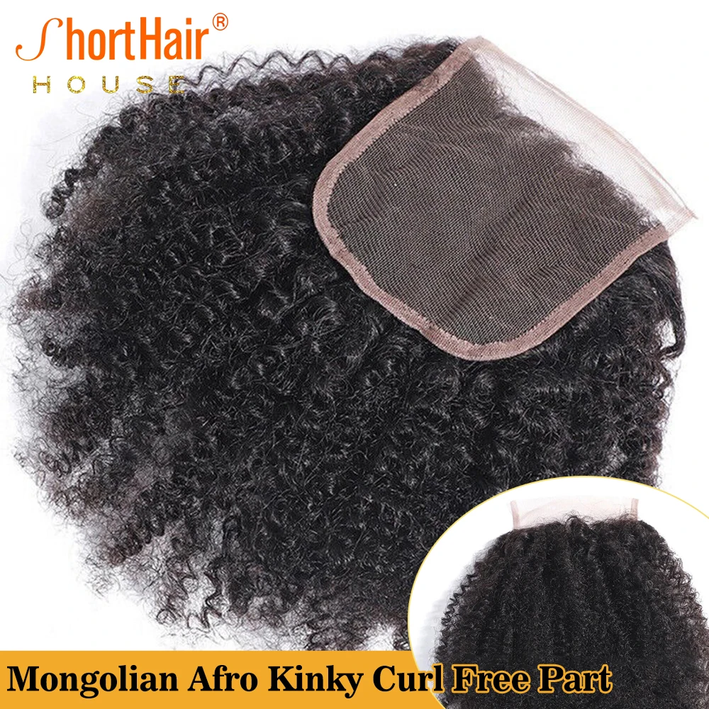 Mongolian Afro Kinky Curly Human Hair Brazilian 13x6 HD Lace Closure Human Hair 360 Full Lace Frontal 130Density Hair Extensions