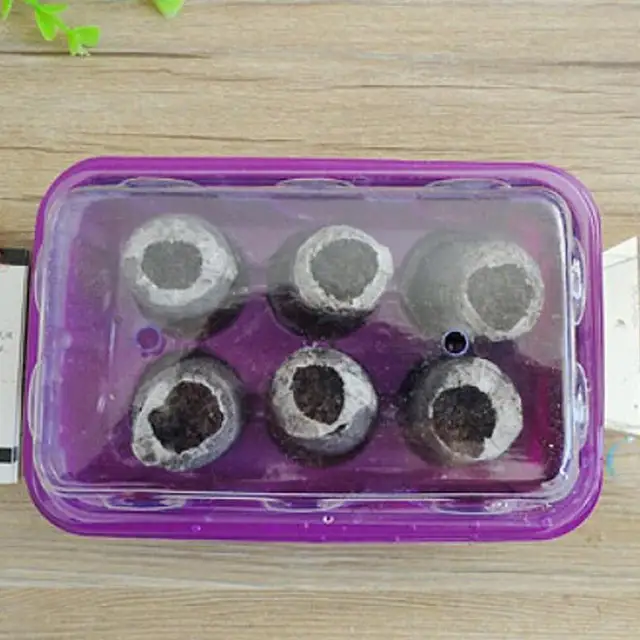 Pc -K Egy Beállított Palánták Blokk Tápanyagblokk Kompressziós Tömörített Tőzegblokk Varázslatos Talaj Közepes Csomagolt - Image 4