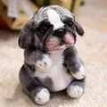 20cm Pug Grey