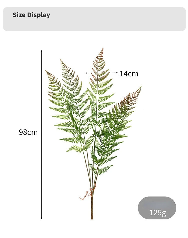 한정되지 않은