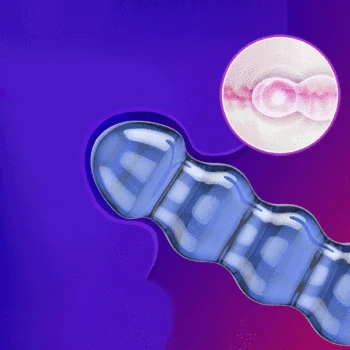 Big Dildo  Penis  Dildo for Anal 40cm Double Long Realistic Dildos Cock Lesbian Anal Plug Flexible Fake Penis for Women Dildos 4