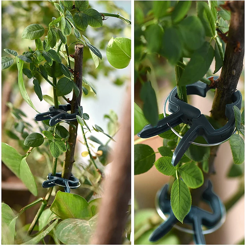10/20PCS Reusable Plant Fixed Clips Greenhouse Bracket Fastener Clamp For Fixing Vine Flower Vegetables Stems Garden Supplies