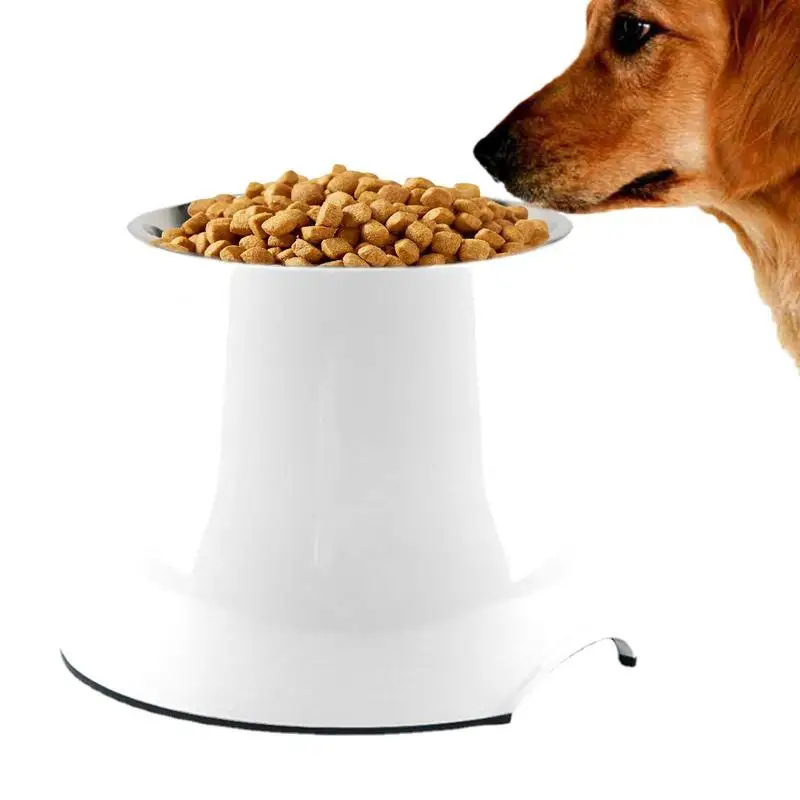 

Tilted Elevated Cat Bowl Raised Cat Bowls Stainless Steel Slanted Cat Dish Food Or Water Bowls Elevated Pet Feeder Bowl