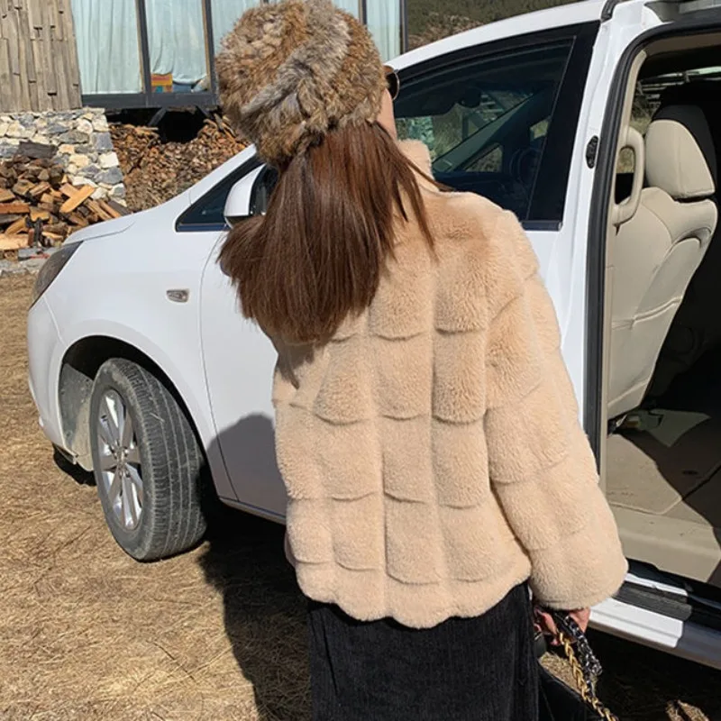 2023 Autumn Winter New Short British Style Simple Commuting Loose Thick Warm Standing Collar Mink Imitation Fur Coat Woman
