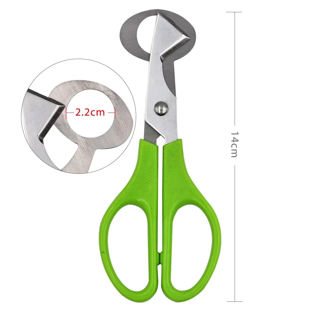 Egg Shell Scissors Kitchen Tools Stainless Steel Blade Quail Egg Shell Scissors