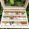 29 New Marine Resin Specimen Amber Crawlers Coral Coral Fish and Crab Biological Collection Teaching Observers DEC 1