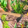 Digging Soil Tools How Planting Small Hoe Outdoor Gardening Asadon Para Jardineria 5